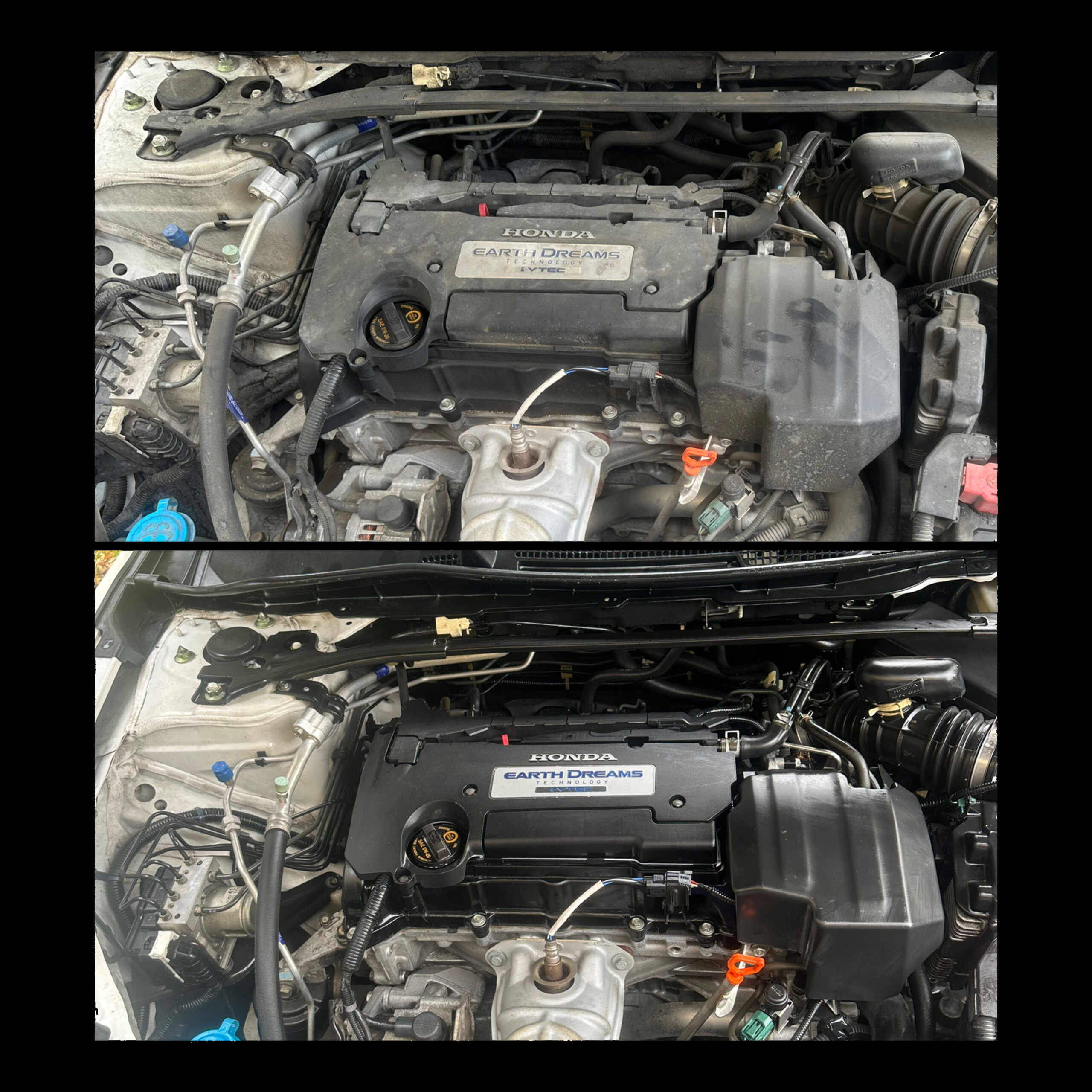 Engine detailing service by Armadillo Auto Spa