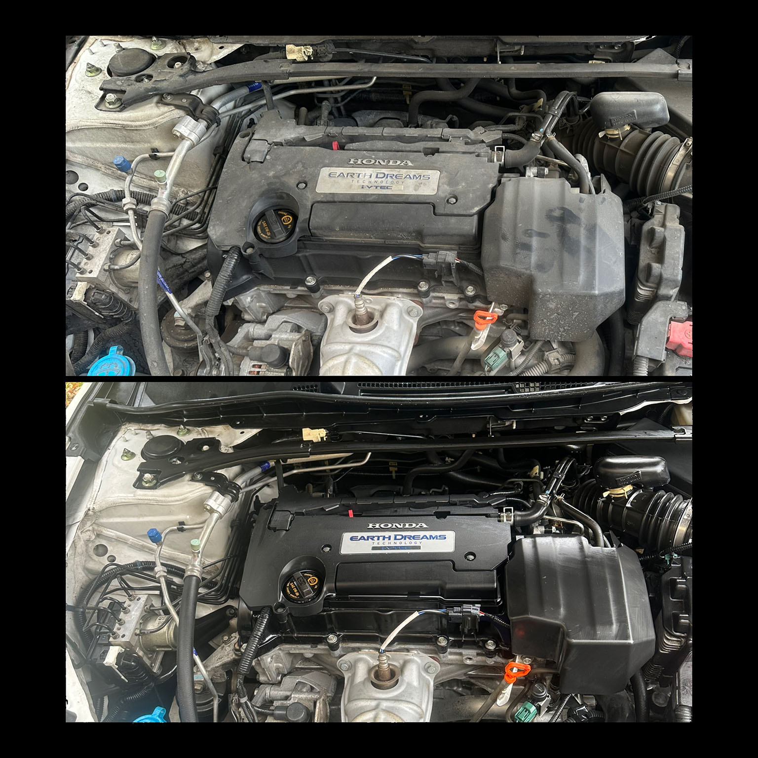 Engine detailing service - Armadillo Auto Spa